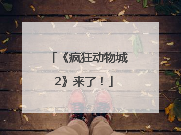 《疯狂动物城2》来了！