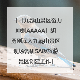 「九嶷山景区奋力冲刺AAAAA」胡勇刚深入九嶷山景区现场调研5A级旅游景区创建工作