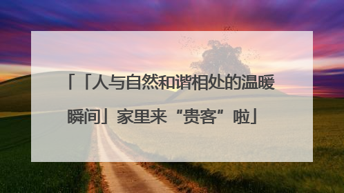 「人与自然和谐相处的温暖瞬间」家里来“贵客”啦