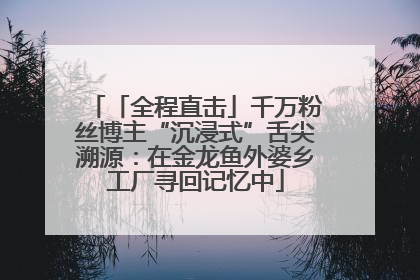 「全程直击」千万粉丝博主“沉浸式”舌尖溯源：在金龙鱼外婆乡工厂寻回记忆中