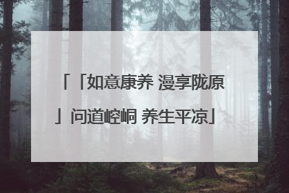 「如意康养 漫享陇原」问道崆峒 养生平凉