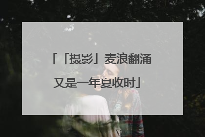 「摄影」麦浪翻涌 又是一年夏收时