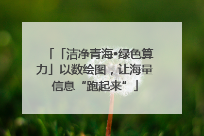 「洁净青海•绿色算力」以数绘图，让海量信息“跑起来”