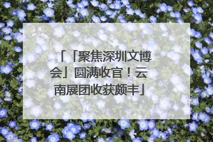 「聚焦深圳文博会」圆满收官！云南展团收获颇丰