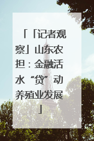 「记者观察」山东农担：金融活水“贷”动养殖业发展