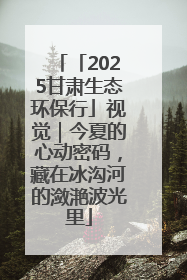 「2025甘肃生态环保行」视觉｜今夏的心动密码，藏在冰沟河的潋滟波光里