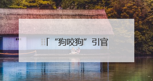 “狗咬狗”引官司，狗主人屡次不牵狗绳担全责