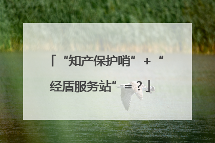 “知产保护哨”+“经盾服务站”=？