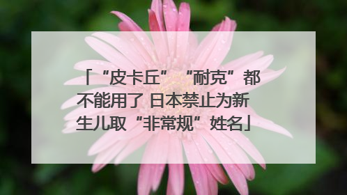 “皮卡丘”“耐克”都不能用了 日本禁止为新生儿取“非常规”姓名