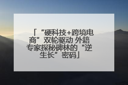 “硬科技+跨境电商”双轮驱动 外籍专家探秘碑林的“逆生长”密码