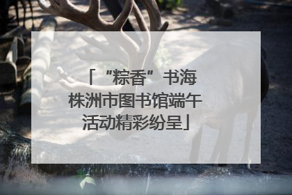 “粽香”书海 株洲市图书馆端午活动精彩纷呈