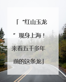 “红山玉龙”现身上海！来看五千多年前的这条龙