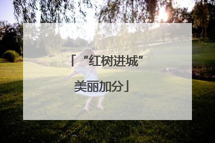 “红树进城” 美丽加分