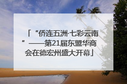 “侨连五洲·七彩云南”——第21届东盟华商会在德宏州盛大开幕