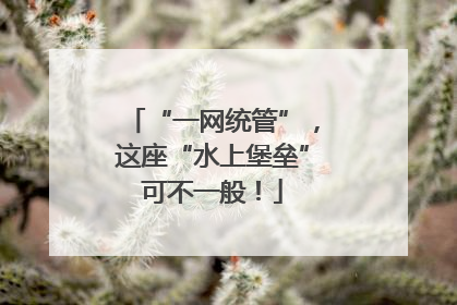 “一网统管”，这座“水上堡垒”可不一般！