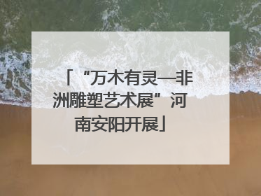 “万木有灵—非洲雕塑艺术展”河南安阳开展