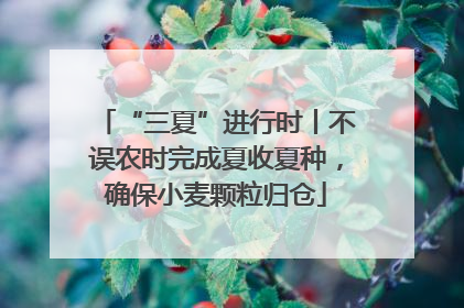 “三夏”进行时丨不误农时完成夏收夏种，确保小麦颗粒归仓