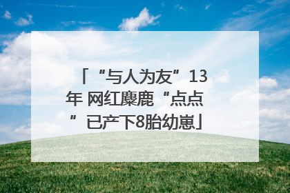 “与人为友”13年 网红麋鹿“点点”已产下8胎幼崽