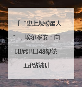 “史上规模最大”，埃尔多安：向印尼出口48架第五代战机