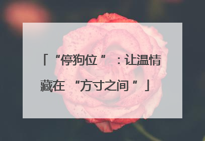 “停狗位 ”：让温情藏在 “方寸之间 ”