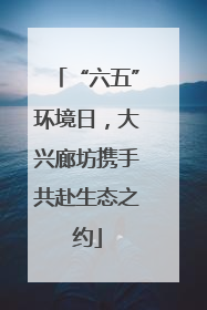 “六五”环境日，大兴廊坊携手共赴生态之约
