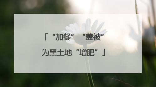 “加餐”“盖被” 为黑土地“增肥”