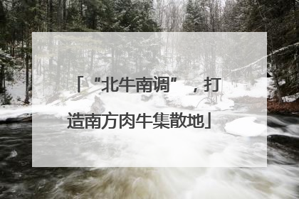 “北牛南调”，打造南方肉牛集散地