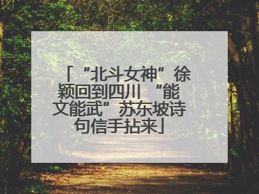 “北斗女神”徐颖回到四川 “能文能武”苏东坡诗句信手拈来