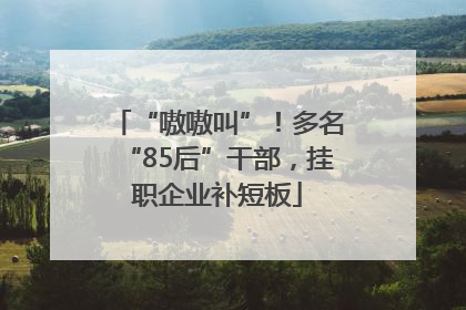 “嗷嗷叫”！多名“85后”干部，挂职企业补短板