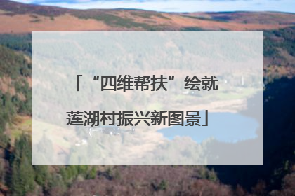 “四维帮扶”绘就莲湖村振兴新图景