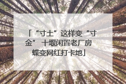 “寸土”这样变“寸金” 十堰闲置老厂房蝶变网红打卡地