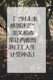 “对未来感到迷茫” 美关税政策让西雅图港口工人生计受冲击