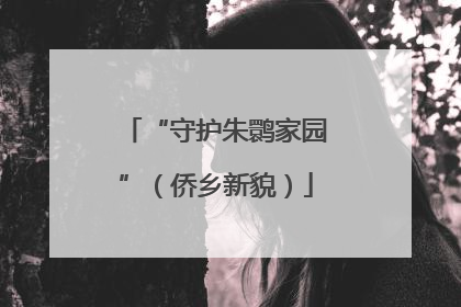 “守护朱鹮家园”（侨乡新貌）