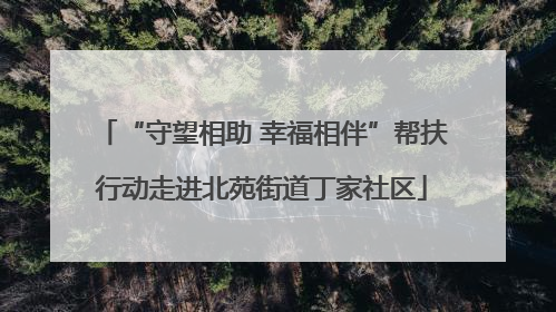 “守望相助 幸福相伴”帮扶行动走进北苑街道丁家社区