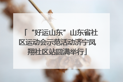 “好运山东”山东省社区运动会示范活动济宁凤翔社区站圆满举行