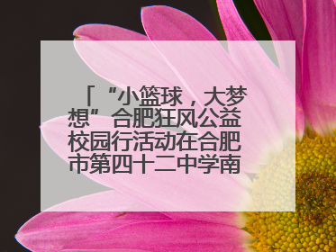 “小篮球，大梦想”合肥狂风公益校园行活动在合肥市第四十二中学南城分校圆满落幕
