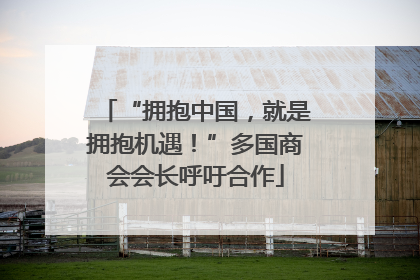 “拥抱中国，就是拥抱机遇！”多国商会会长呼吁合作