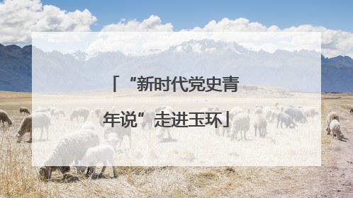 “新时代党史青年说”走进玉环