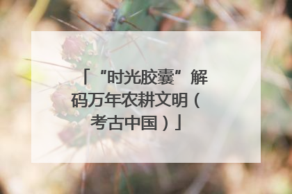“时光胶囊”解码万年农耕文明（考古中国）
