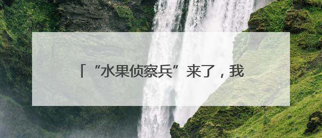 “水果侦察兵”来了，我在六月的威海发现了它！