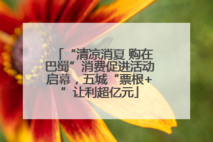 “清凉消夏 购在巴蜀”消费促进活动启幕，五城“票根+”让利超亿元