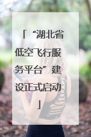 “湖北省低空飞行服务平台”建设正式启动