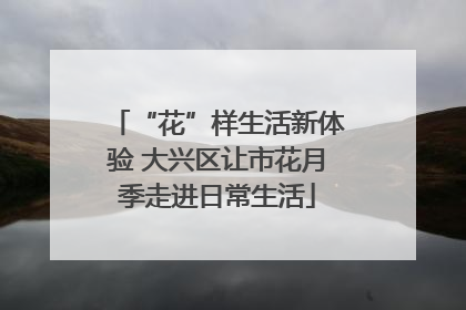 “花”样生活新体验 大兴区让市花月季走进日常生活
