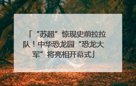 “苏超”惊现史前拉拉队！中华恐龙园“恐龙大军”将亮相开幕式