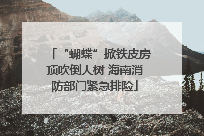 “蝴蝶”掀铁皮房顶吹倒大树 海南消防部门紧急排险