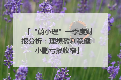 “蔚小理”一季度财报分析：理想盈利稳健 小鹏亏损收窄