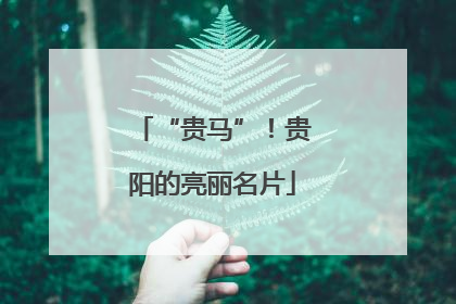 “贵马”！贵阳的亮丽名片