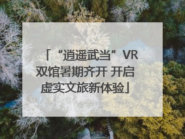 “逍遥武当”VR双馆暑期齐开 开启虚实文旅新体验