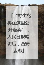 “野生鸟类在这里公开贩卖”，人民日报暗访后，西安表态