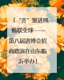 “齐”聚进博 畅联全球——第八届进博会招商路演在山东临沂举办